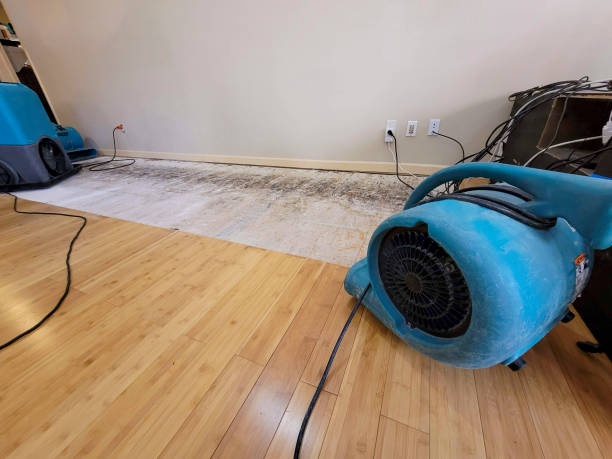 Professional Burst Pipe Water Damage technician working in Jamestown, KY